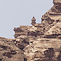 P1010480
