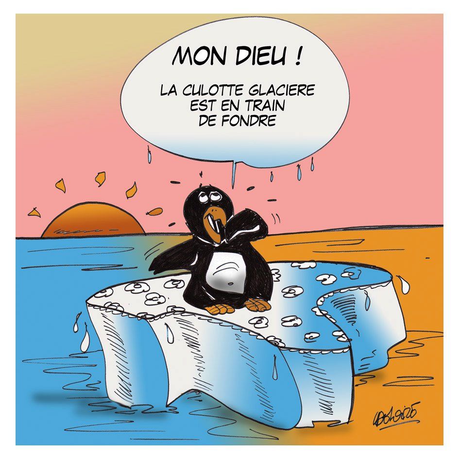 Rechauffement Climatique Calotte Glaciere Caricaturiste Et Caricature