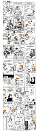 boulet_coreen