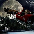 Swap noël de stephie et pimprenelle
