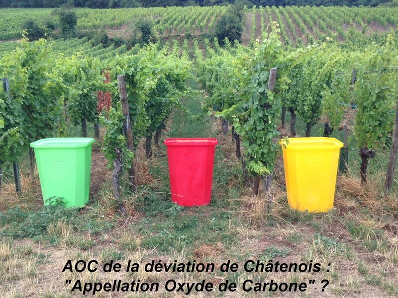 vendanges_013
