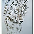 Dessin Loup coloriage - Grand prédateur - Colouring wolf - Kolorierung Wolf - Iluminación lobo - Coloritura lupo - Lobo pintando - Coloritul lup