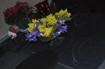 _DSC0010