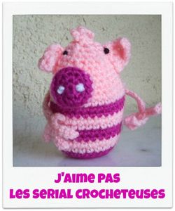 ronchonchon-serial-crocheteuse