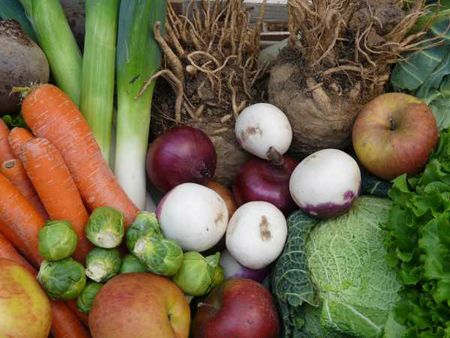 legumes janvier