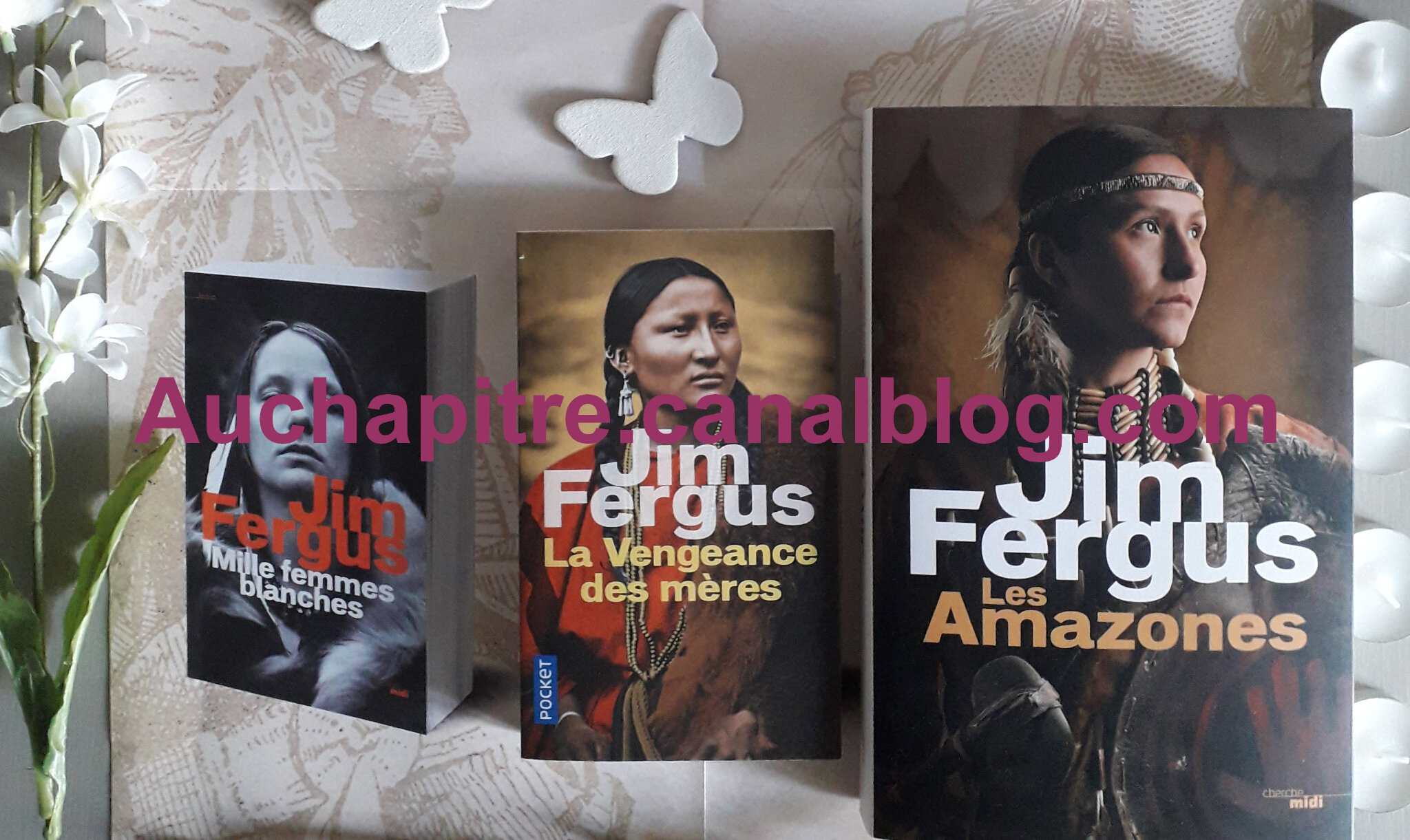 Jim Fergus Les Amazones T3 Au Chapitre