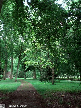 35_Sous_bois