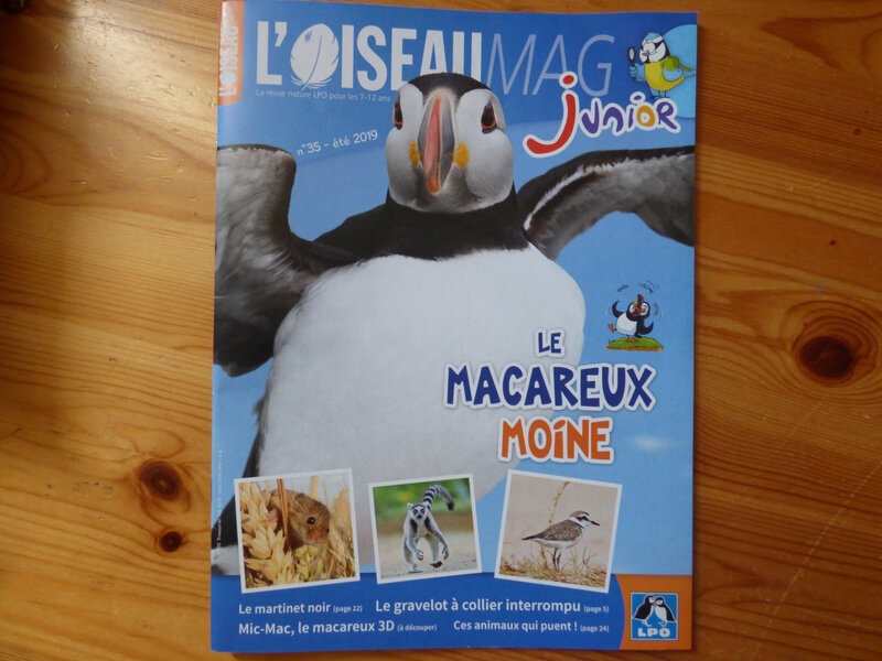 Oiseau Mag Eté 2019 (1)