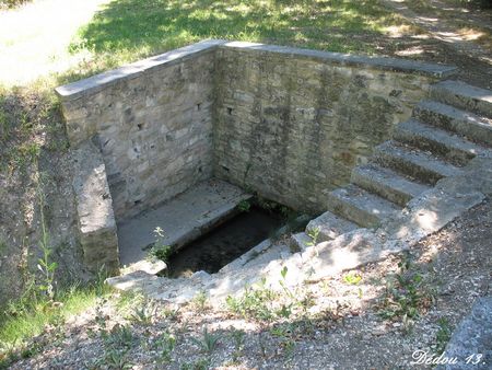 Photo_23600