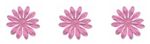 3_fleurs_pour_espace_blog