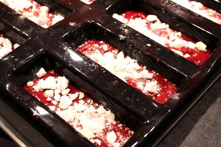 Mini,bûches glacées chocolat,fruits rouges , Pour ceux qui