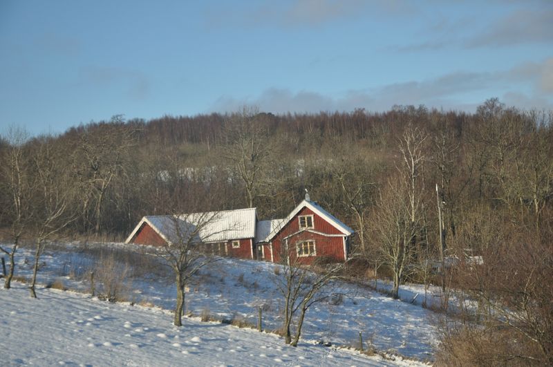DSC_1255