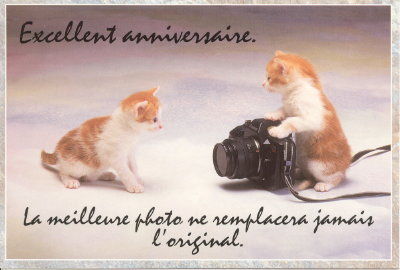 Bon Anniversaire Brigitte Doneuville Extraits De Vie Par La Peinture La Poesie Et Les Emotions