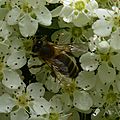 P1060424 (2)