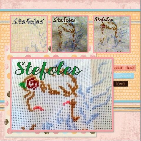 stefoles_salfev15_2