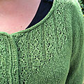 Mon trellis vert