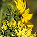 DSCN4953