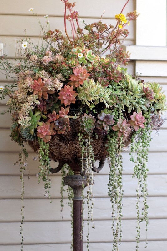 jardin dans la decobelge (180)