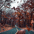 automne05