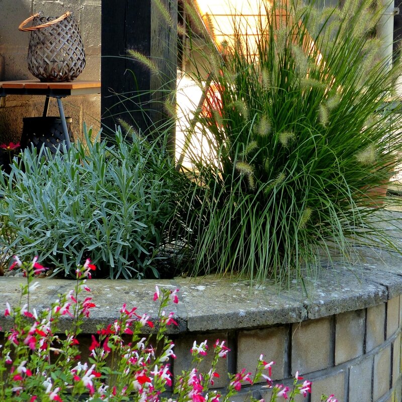 aa ambiance jardin-005