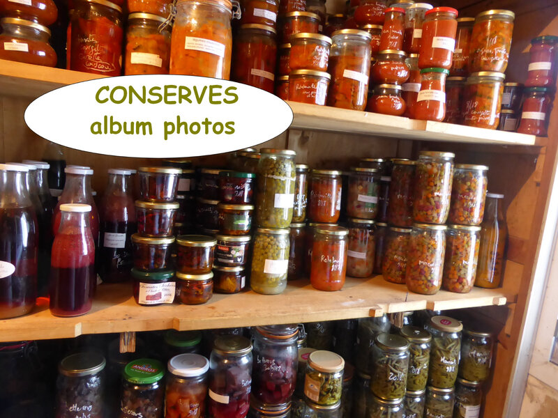 conserves-album photos