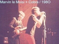 cobra Marvin