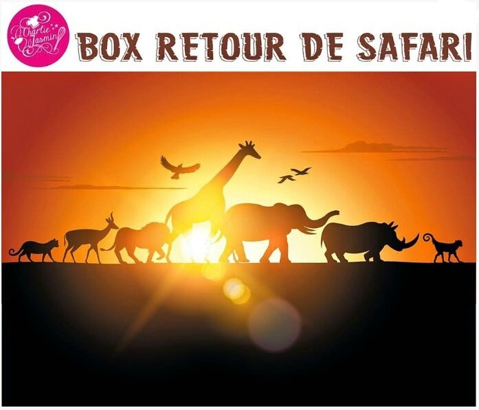 safari