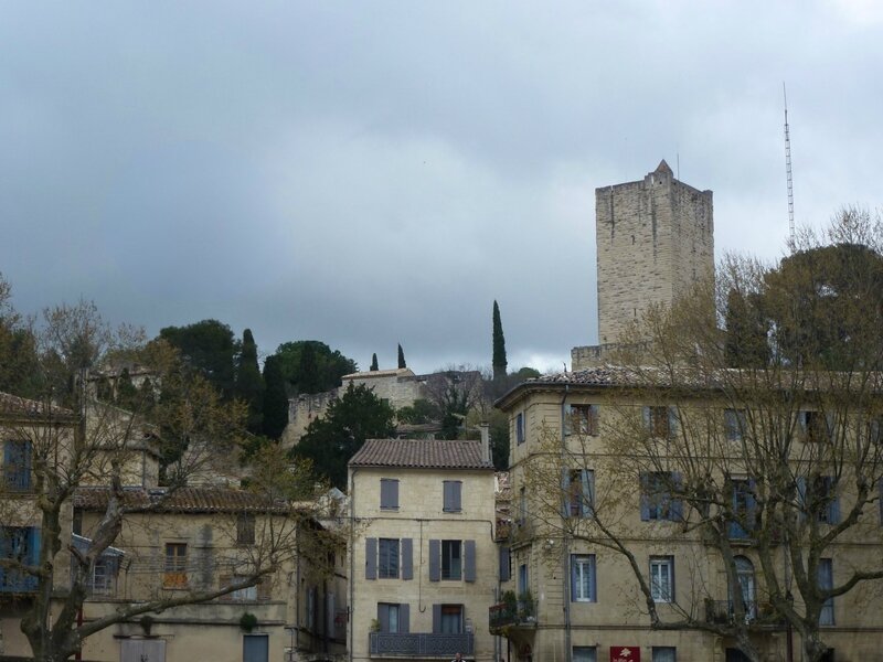 P1210890a - Copie (Large)