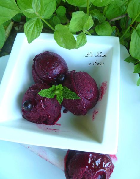 Sorbet Cassis