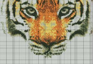 tigre
