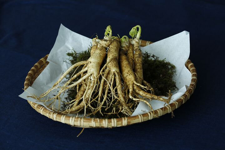 bio, blog, blog santé, complément alimentaire naturel et bio, compléments alimentaires, conseil santé, diabète, fatigue, ginseng, healthylife, healthylifestyle, libido, naturopathie, Phytothérapie, santé au naturel, santé émotionnelle, Sport, Stress, système immunitaire