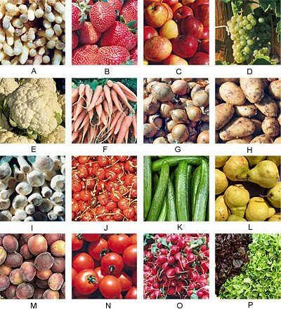 Quelle est la différence entre un fruit et un légume ?  Blendsmooth -  Appareils pour Fruits, Légumes et Boissons