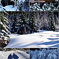 Snowshoe trail Stevens Pass