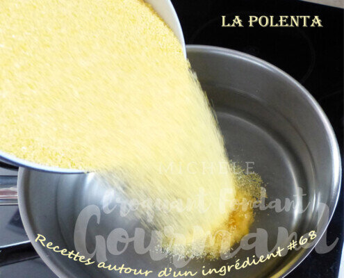 recettes_autour_dun_ingredient_68_la_polenta_ragout_saucisse_poulet_et_sa_polenta_p1090328_495x400