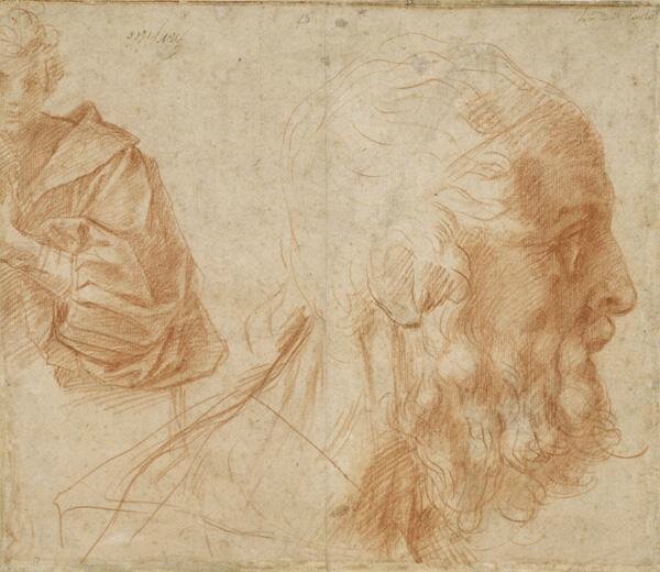 Andrea del Sarto, Study of the Head of an Old Man in Profile, ca