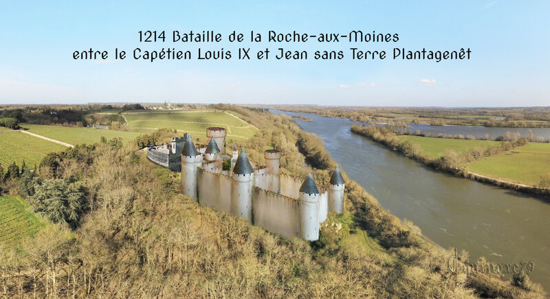 Ruines de la forteresse de la Roche aux Moines de Guillaume des Roches