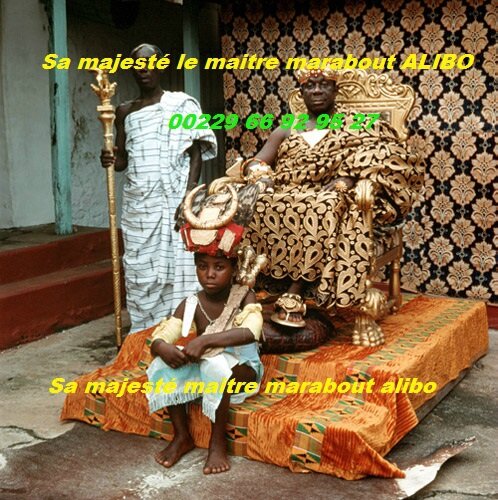 Maitre alibo