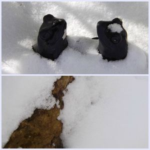 D'1 jour à l'autre (31)