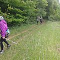 20130523_111609