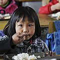 Des chercheurs chinois et américains ont utilisé des enfants chinois pour tester un nouveau riz ogm