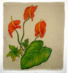 ANTHURIUM