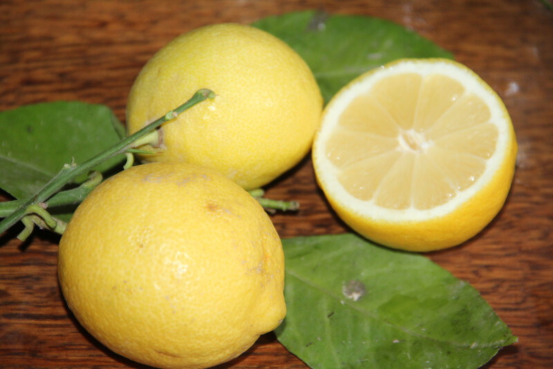 POUR CONSERVER UN CITRON ENTAME - 