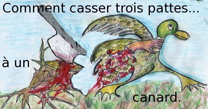 Comment Casser Trois Pattes A Un Canard Par Jean Claude Boyrie Ateliers D Ecrits Litteraire Scenario Accompagnement De Projets A Montpellier Accompagnement De Projets