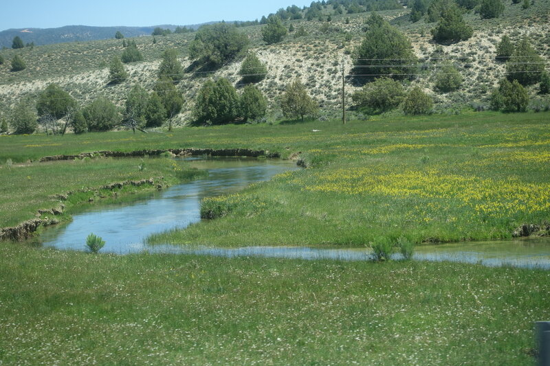 DSC01497