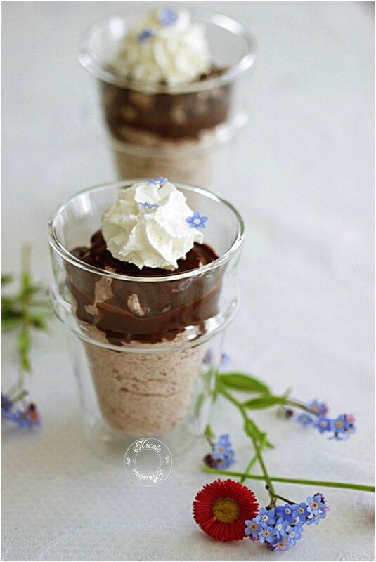 2 ingrédients pour une mousse &amp;quot;stracciatella&amp;quot; à ma façon...... - NICOLE ...