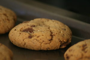 mini_cookies_coco_choco__1_