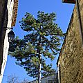 Balade à dieulefit (drôme) le 21 février 2016 (7)