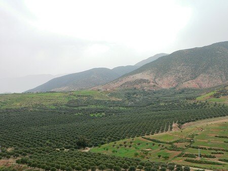 maroc__93_