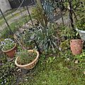 _DSC0054