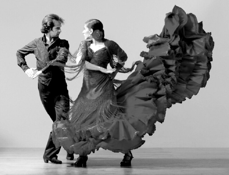 Flamenco Un Monde En Noir Et Blanc Flamenco Un Monde En Noir Et Blanc
